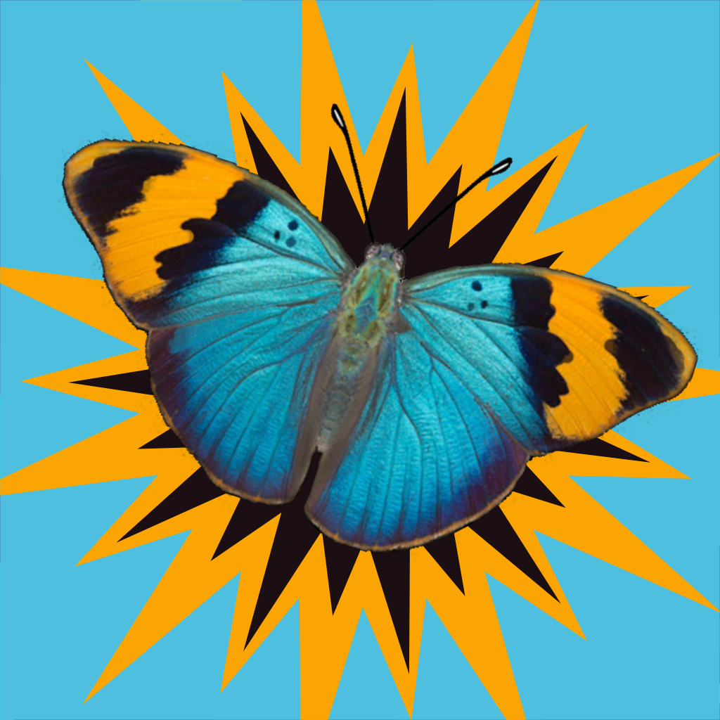 Butterfly Surprise Icon